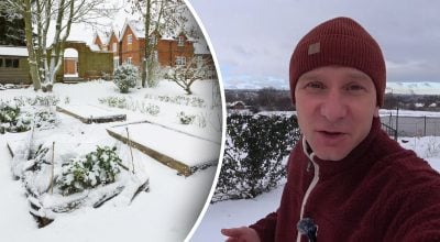 Начались морозы: садовод рассказал, что стоит сделать в саду и на огороде