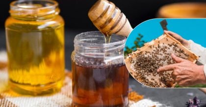 Який мед найкращий для здоров'я: експерт пояснив, чи можна його гріти