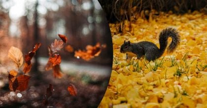 Чому 8 грудня не можна ні з ким сперечатися: яке церковне свято