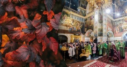 Почему 11 декабря нельзя брать в руки острые предметы: какой церковный праздник