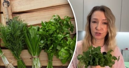 Будет свежей до трех недель: хитрый трюк, как хранить зелень в холодильнике