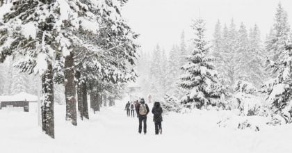 Украину заметет снегом и ударят морозы до -11: известна дата сильного похолодания