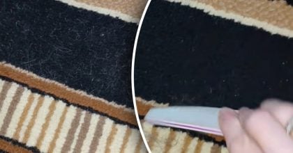 Як швидко прибрати шерсть із килима: крутий трюк з пилочкою