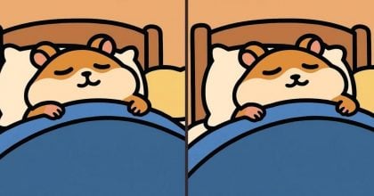 Тест на IQ: знайдіть 3 відмінності на картинці сплячого хом'яка за 29 секунд