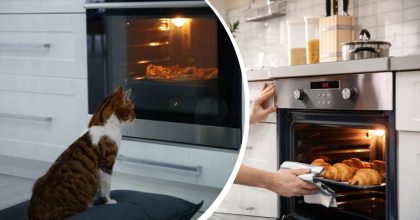Для чего на самом деле нужен ящик под духовкой: мало кто знает его назначение