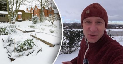 Почалися морози: садівник розповів, що варто зробити в саду та на городі