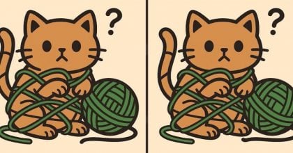 Тест на IQ: знайдіть 3 відмінності на картинці кота в клубку пряжі за 23 секунди