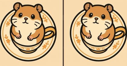 Тест на IQ: знайдіть 3 відмінності на картинці хом'яка за 51 секунду