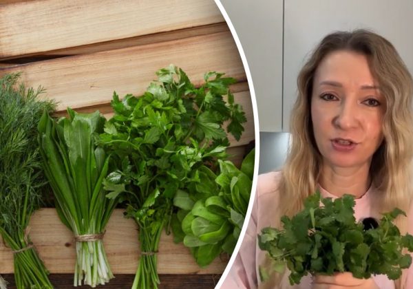 Будет свежей до трех недель: хитрый трюк, как хранить зелень в холодильнике