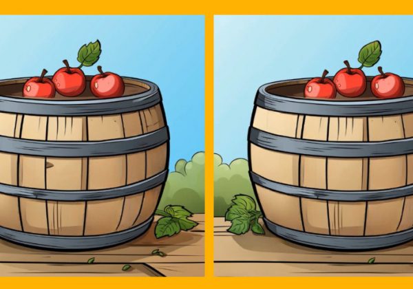 Тест на IQ: найдите 3 отличия на картинке яблок на бочке за 13 секунд