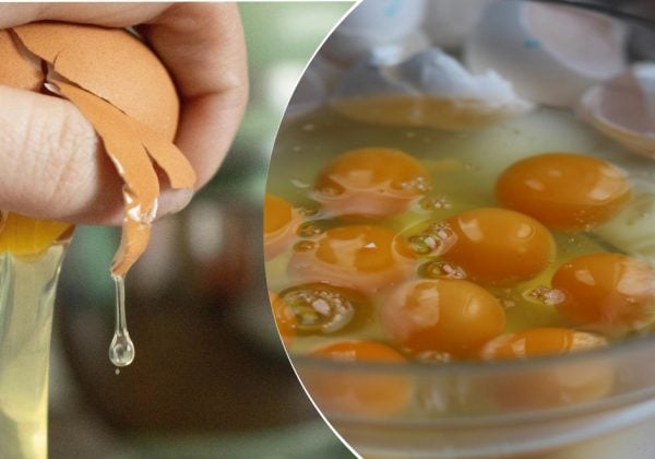 Можно ли есть яйца с красным пятном на желтке: ответ удивит многих