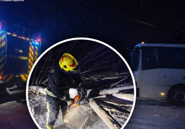 Поваленные деревья и парализованное движение: последствия непогоды в Украине