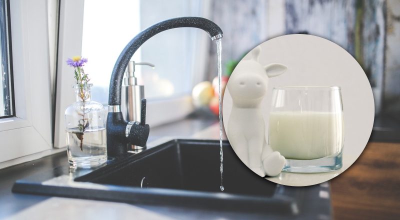 Чому не можна виливати молоко у раковину: експерти назвали неочевидну причину
