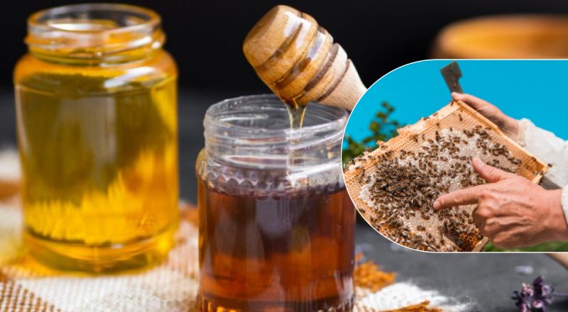 Какой мед лучший для здоровья: эксперт объяснил, можно ли его греть