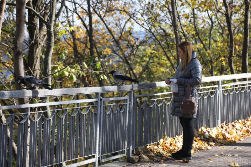 Україну накриває похолодання: у яких областях буде мороз