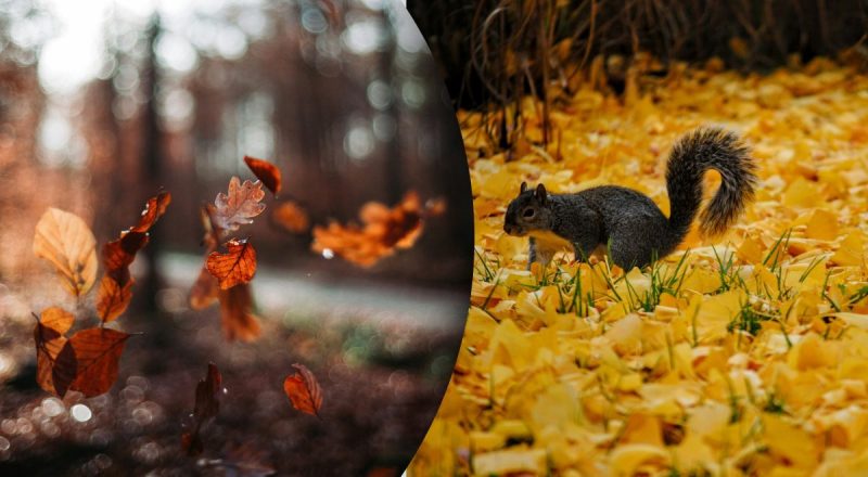 Чому 8 грудня не можна ні з ким сперечатися: яке церковне свято