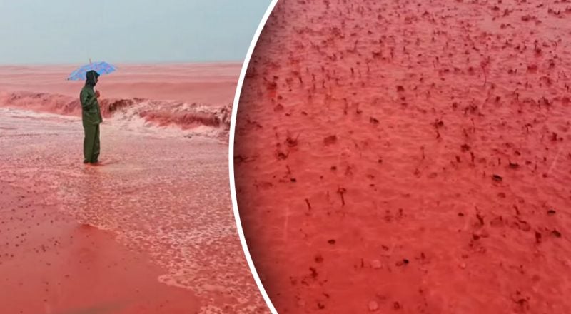 О таком предупреждала Библия: вода в Персидском заливе стала кроваво-красной