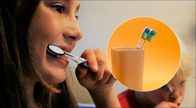 Держатель для зубных щеток черный и плохо пахнет: как его правильно чистить