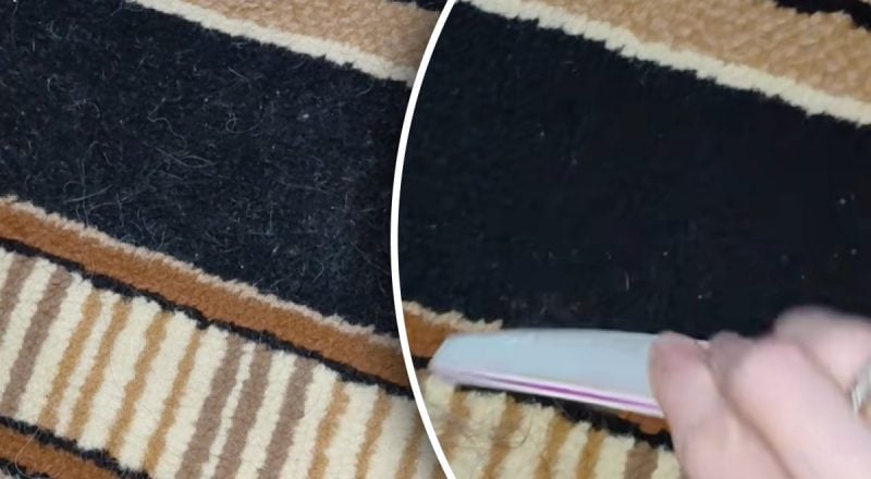 Як швидко прибрати шерсть із килима: крутий трюк з пилочкою