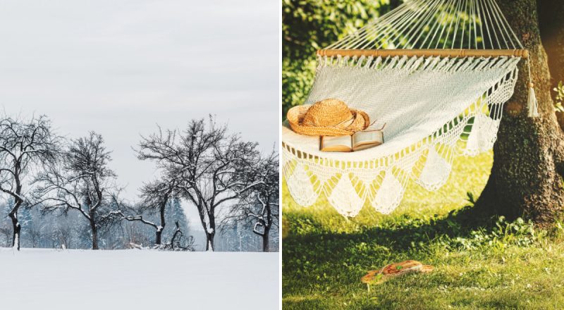 Ученые раскрыли тайну сезонов, которая десятилетиями оставалась незамеченной