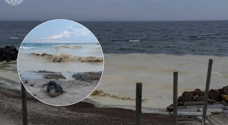 В одном городе Украины произошла настоящая экологическая катастрофа - что известно