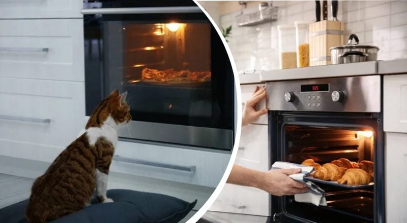 Для чего на самом деле нужен ящик под духовкой: мало кто знает его назначение