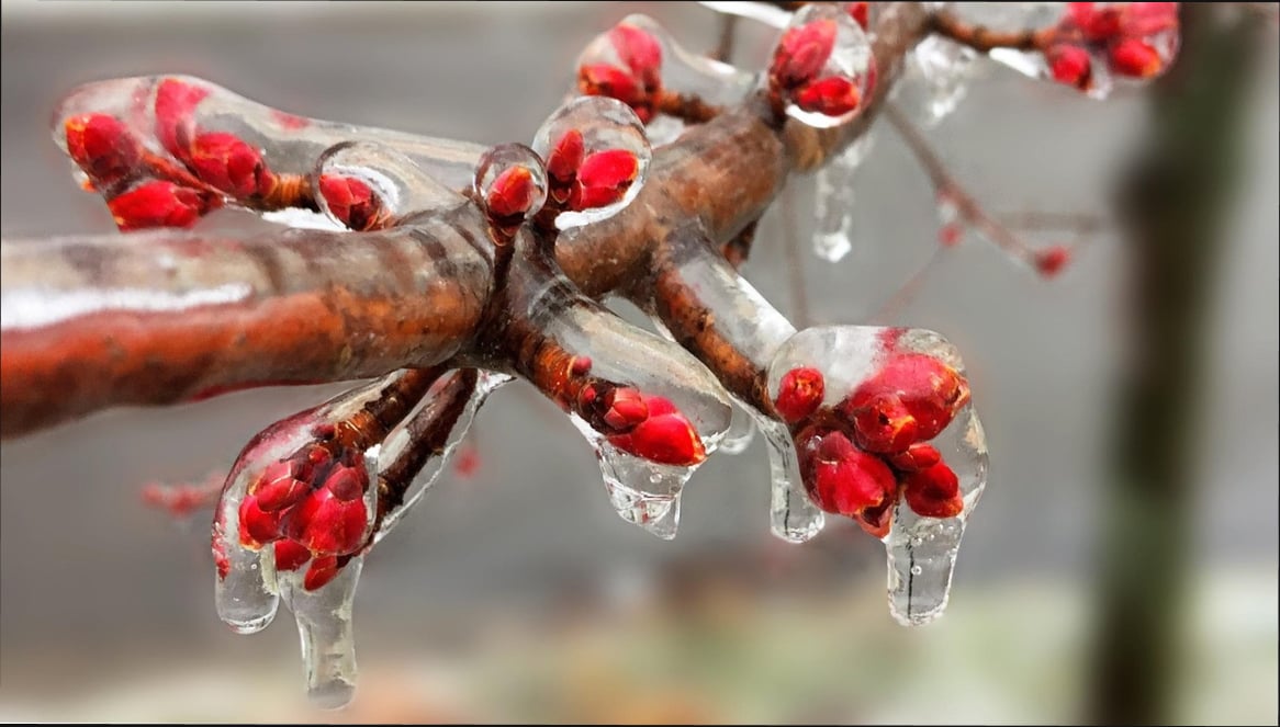 Украину накроет похолодание