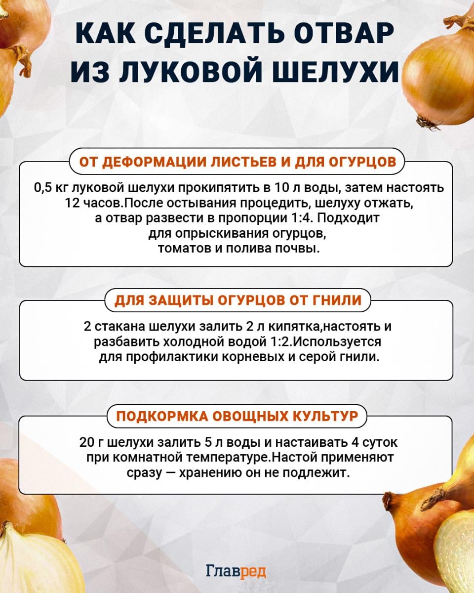 Как сделать отвар из луковой шелухи