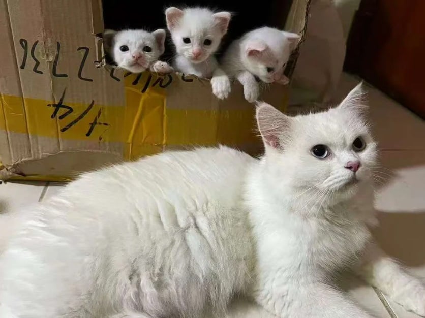 скріншот скріншот