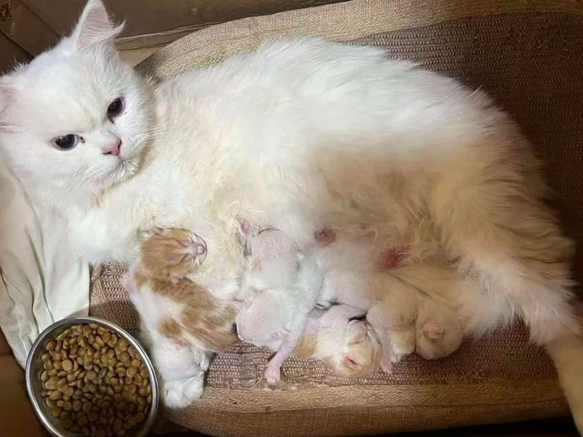 скріншот скріншот