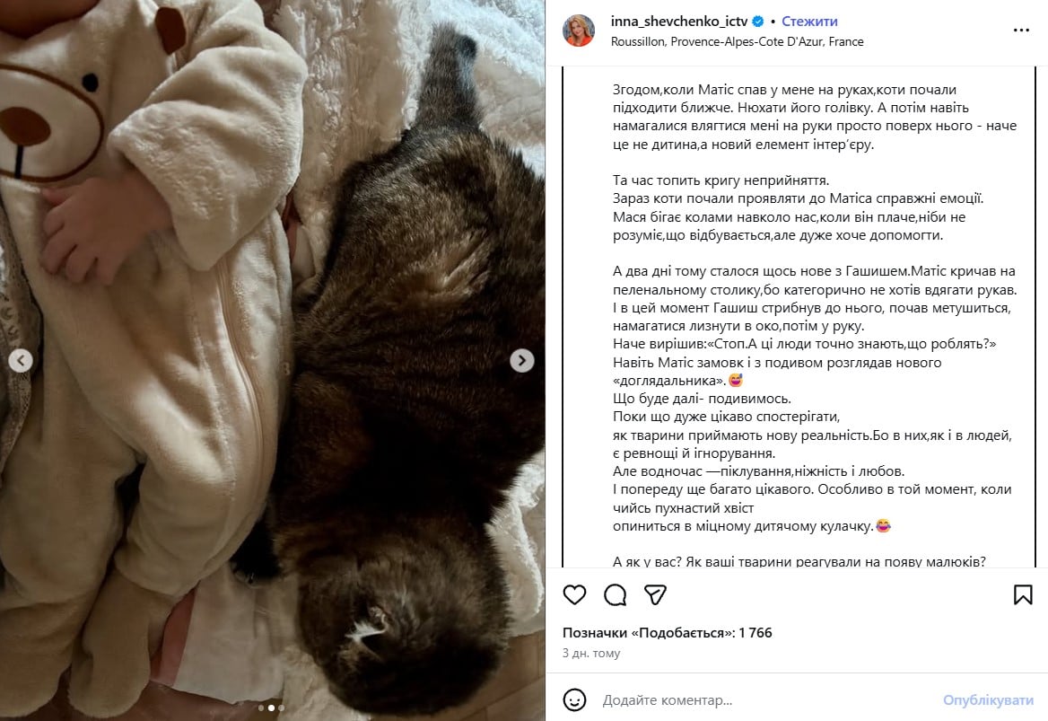 син Інни Шевченко