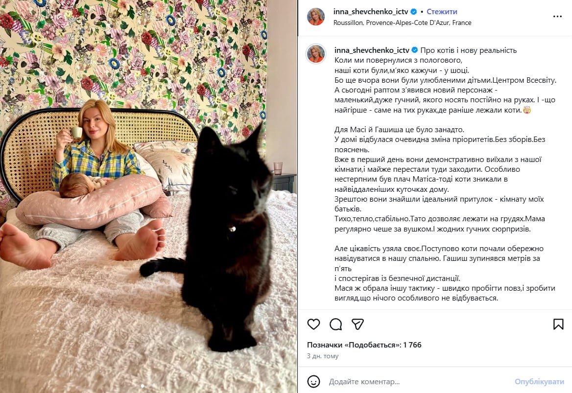 син Інни Шевченко