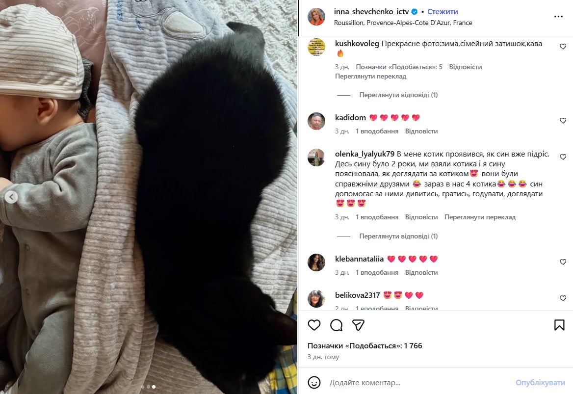 син Інни Шевченко