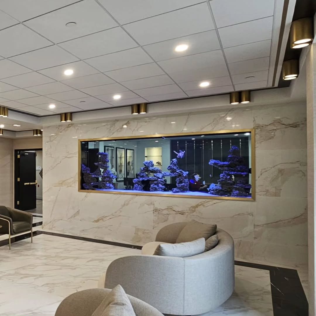 Где в доме следует размещать аквариумы