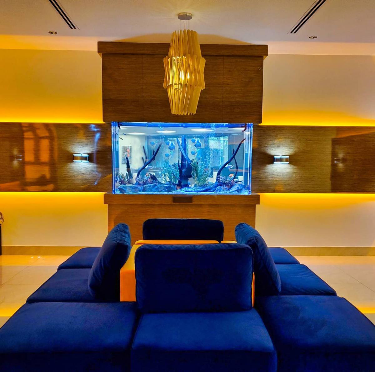 Где в доме следует размещать аквариумы