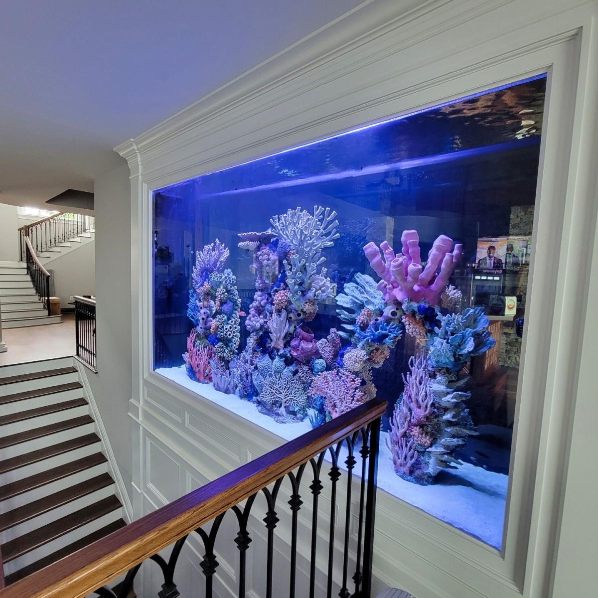 Где в доме следует размещать аквариумы