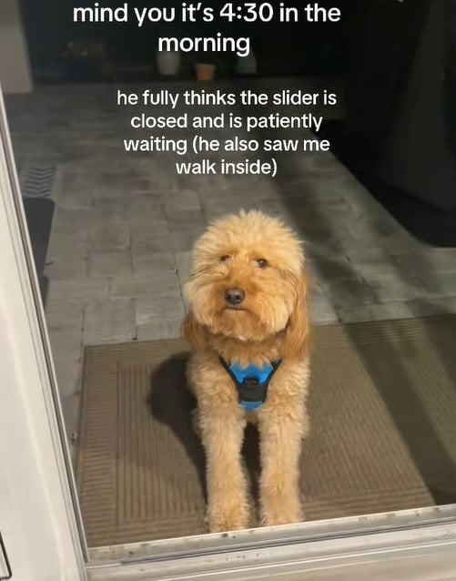 Ніхто не знає, скільки він так просидів