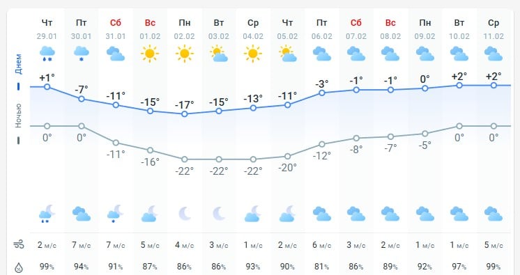 погода 29 января 