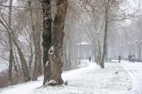 Украинцев предупредили о серьезной опасности: названа дата, когда налетит мощный шторм