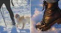 Як прибрати сіль з взуття взимку: прості способи для шкіри, замші та тканини
