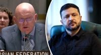Умови миру для України будуть все гірше: Небензя в ООН пригрозив Зеленському