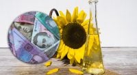 Начнет ли подсолнечное масло резко дорожать: украинцам сказали, к чему готовиться