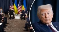 "Він приїхав і сказав лише одне": Трамп розкрив деталі зустрічі з Зеленським