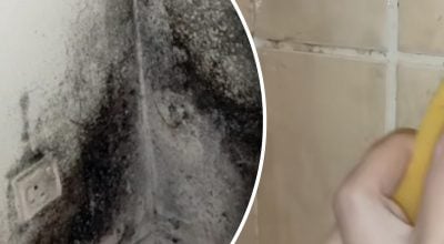 Як позбутися чорної цвілі Як позбутися чорної цвілі