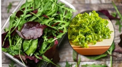 Зелень будет свежей неделями: кулинар раскрыл секрет правильного хранения Зелень будет свежей неделями: кулинар раскрыл секрет правильного хранения