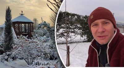 Зимова підготовка саду має слабке місце: садівник пояснив, що часто ігнорують