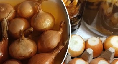 Можна двома способами: як правильно виростити цибулю на підвіконні