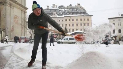 Садовой Садовой