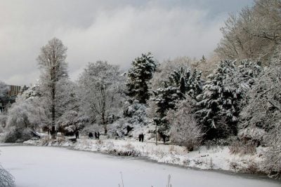 Сильні морози накриють Рівненщину: синоптики попередили про різке похолодання