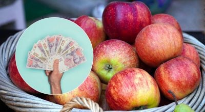 Пік подорожчання близько: ціна на один фрукт вдарить по гаманцях українців Пік подорожчання близько: ціна на один фрукт вдарить по гаманцях українців